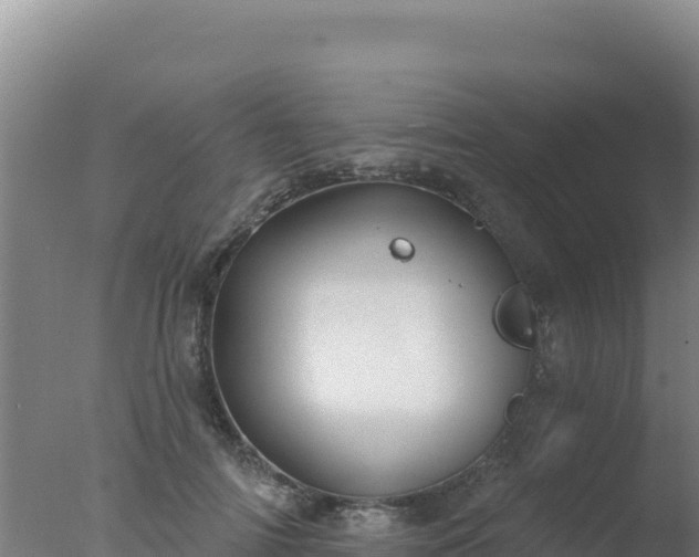 X0000077370698200610271920