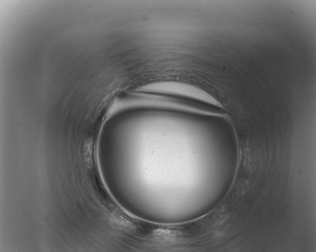 X0000077370699200610271920