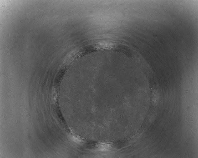 X0000077370701200610271920