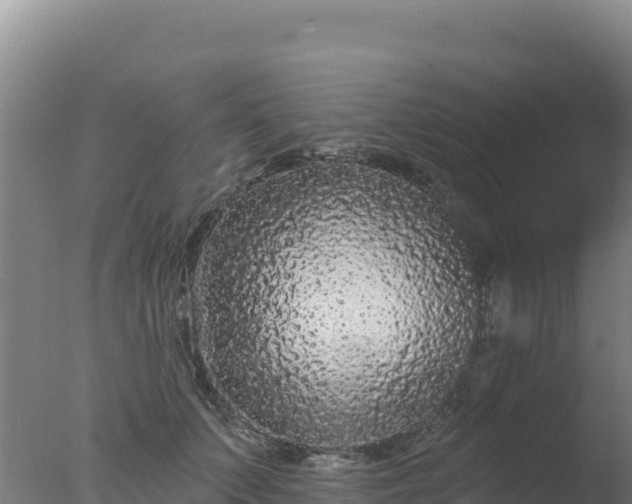 X0000077370703200610271920