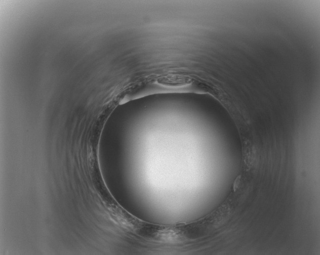 X0000077370704200610271920