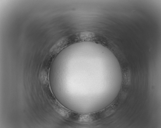 X0000077370705200610271920