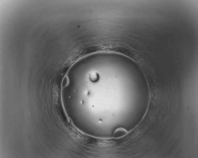 X0000077370707200610271920