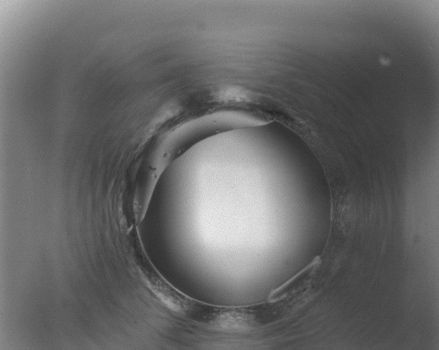 X0000077370708200610271920