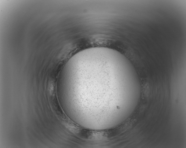 X0000077370709200610271920