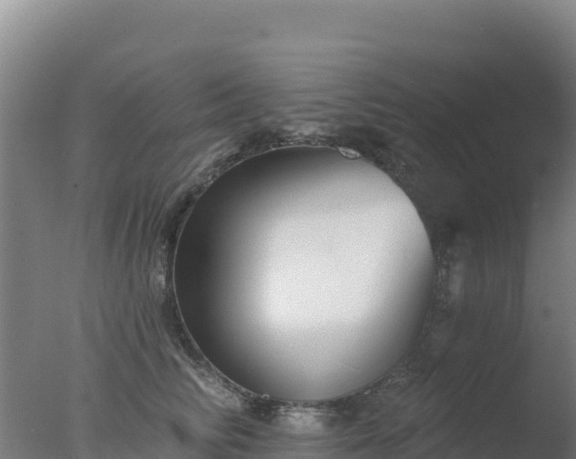 X0000077370710200610271920