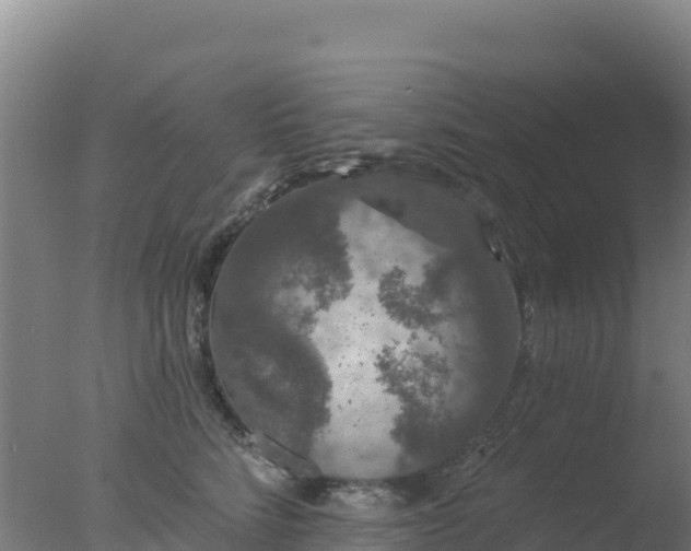 X0000077370712200610271920