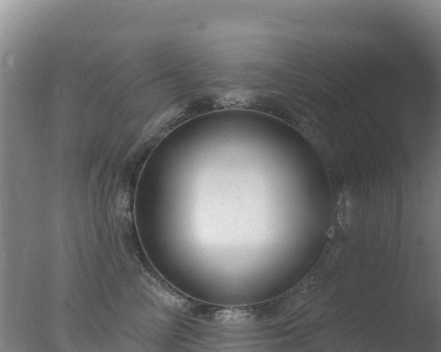 X0000077370714200610271920