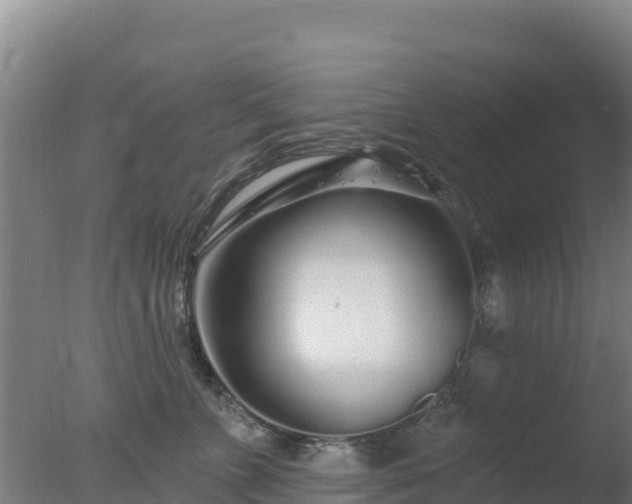 X0000077370715200610271920