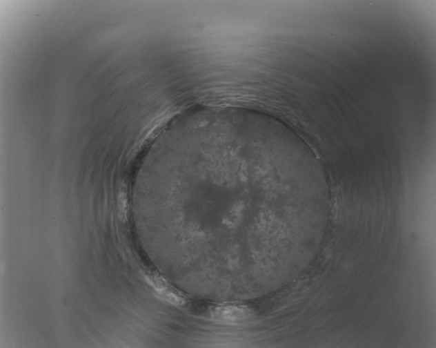 X0000077370716200610271920