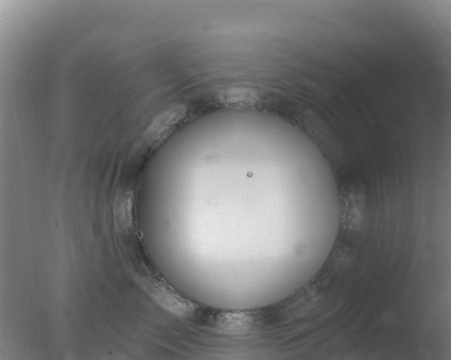 X0000077370717200610271920