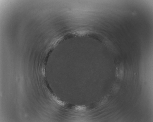 X0000077370718200610271920