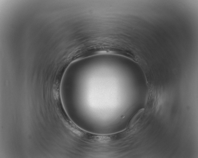 X0000077370719200610271920