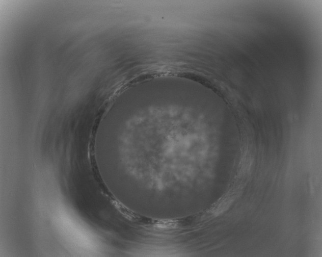 X0000077370720200610271920