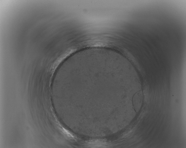 X0000077370721200610271919