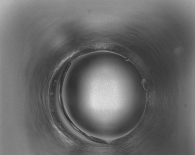 X0000077370722200610271919