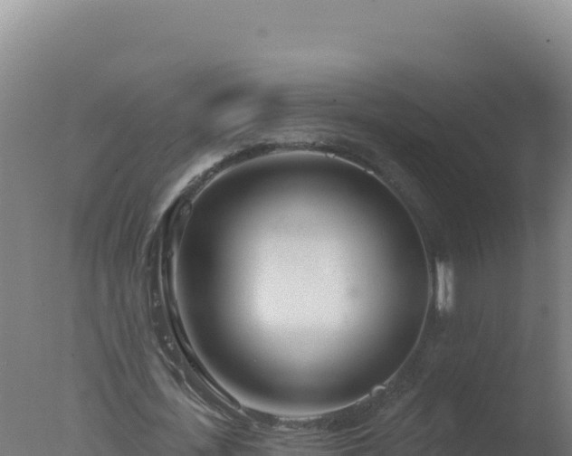 X0000077370723200610271919