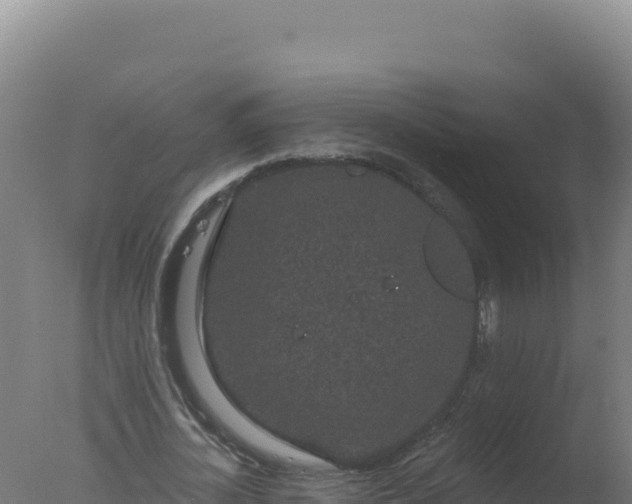 X0000077370724200610271919