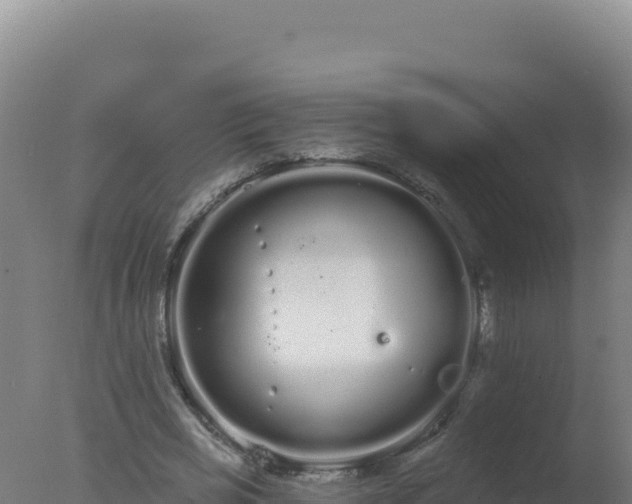 X0000077370725200610271919