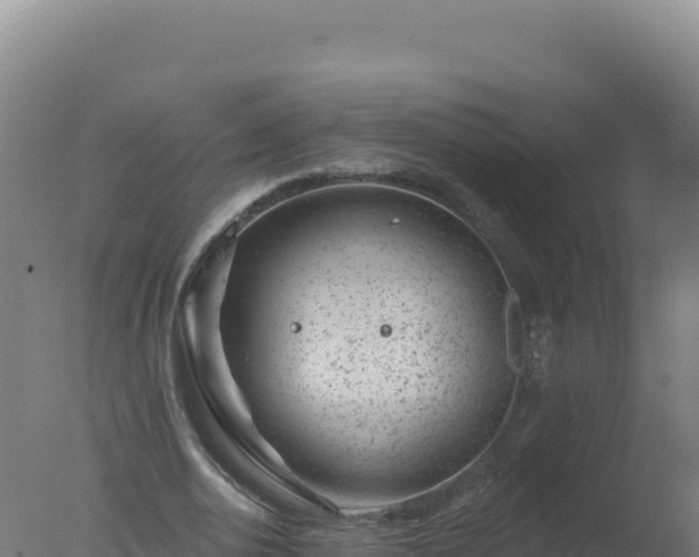 X0000077370726200610271919