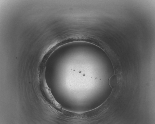 X0000077370727200610271919