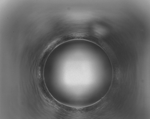 X0000077370731200610271919