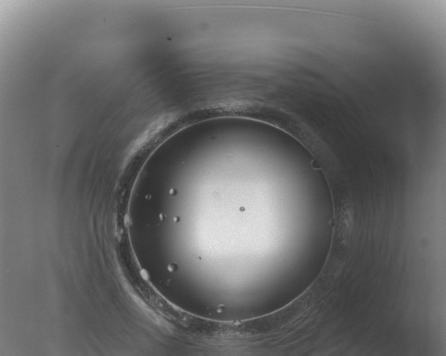 X0000077370734200610271919