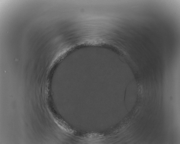 X0000077370736200610271919