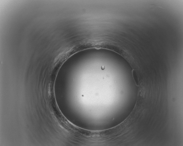 X0000077370740200610271919