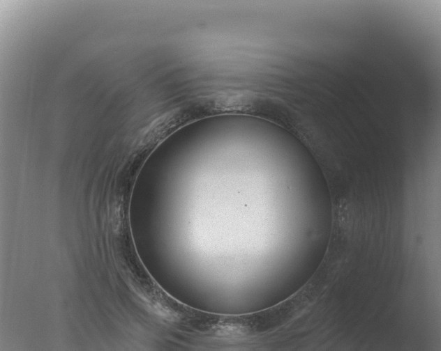 X0000077370741200610271919