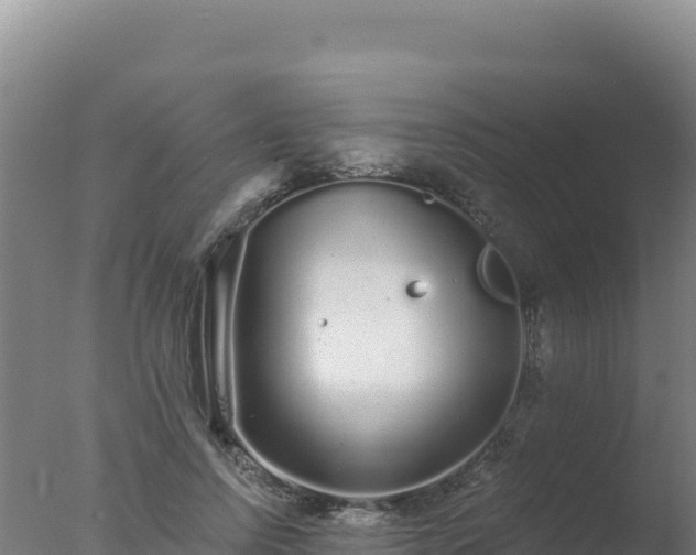 X0000077370742200610271919