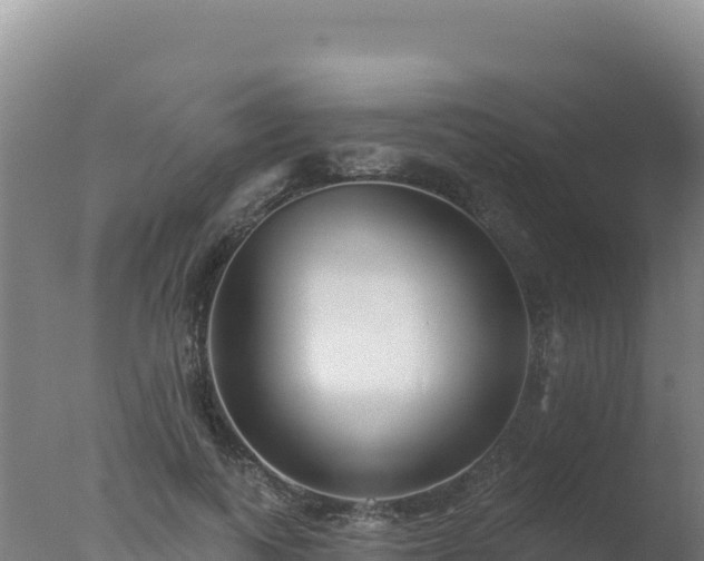 X0000077370743200610271919