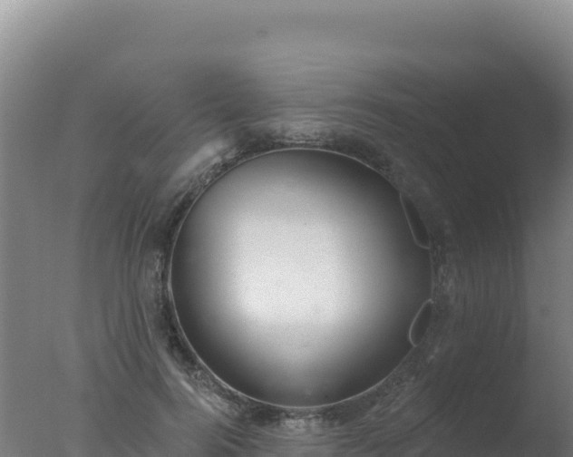 X0000077370744200610271919