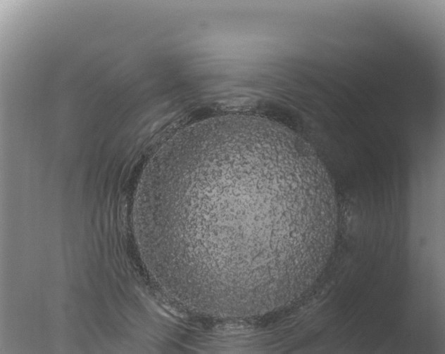 X0000077370745200610271919