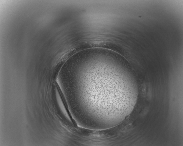 X0000077370746200610271919