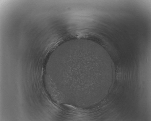 X0000077370748200610271920