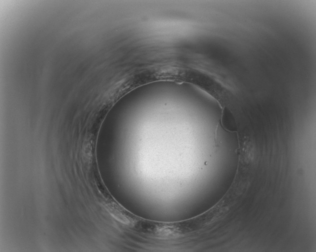 X0000077370753200610271920