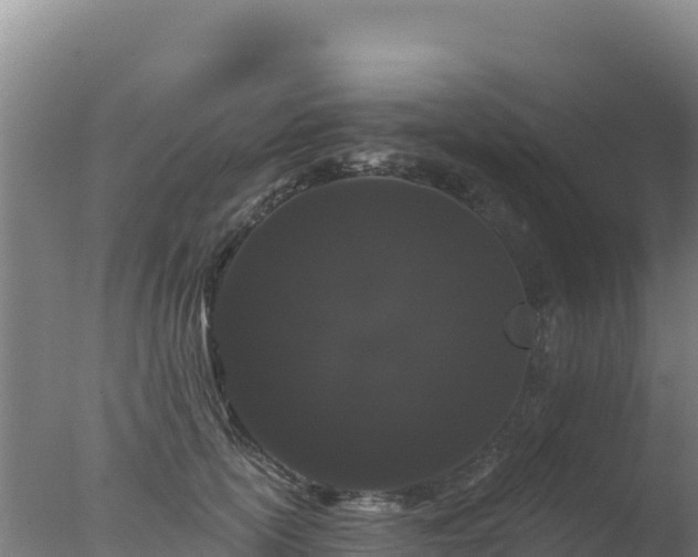 X0000077370754200610271920