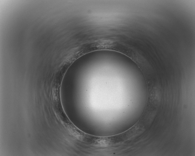 X0000077370755200610271920