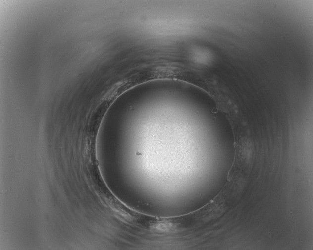 X0000077370759200610271920