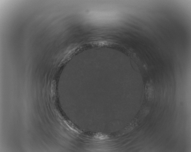 X0000077370760200610271920