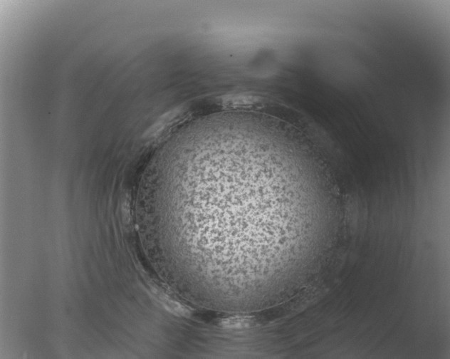 X0000077370761200610271920