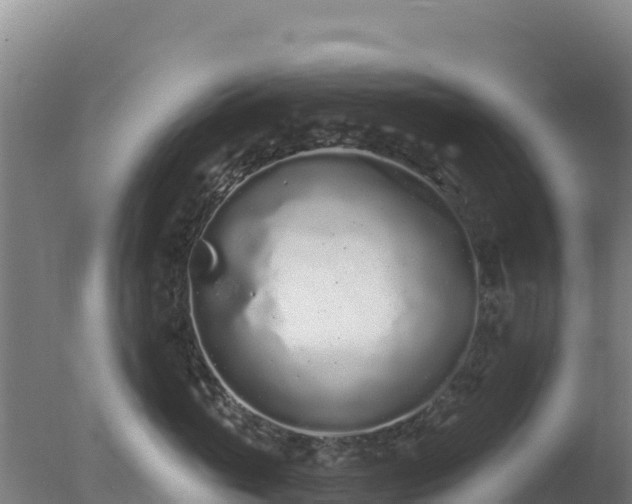 X0000077370765200610271920