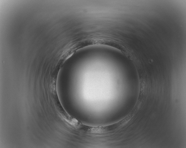 X0000077370766200610271920