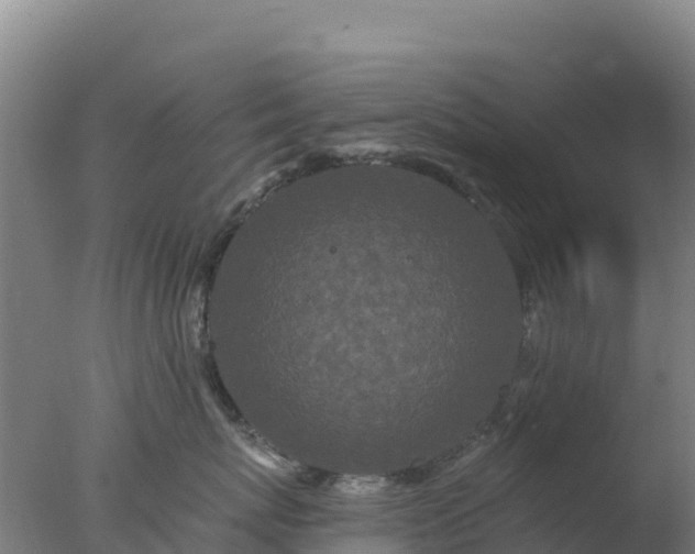 X0000077370767200610271920