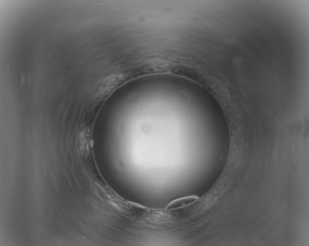 X0000077370768200610271920