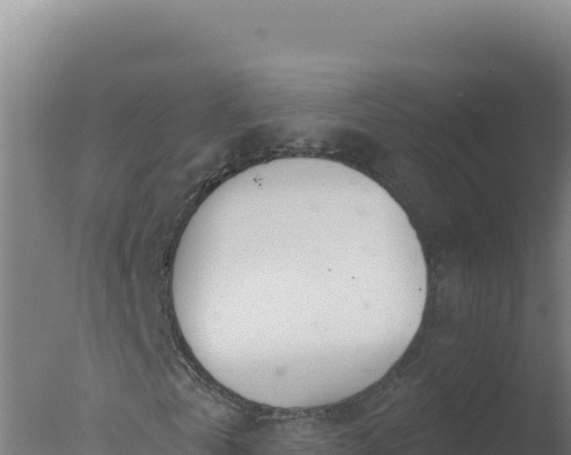 X0000077370769200610271919