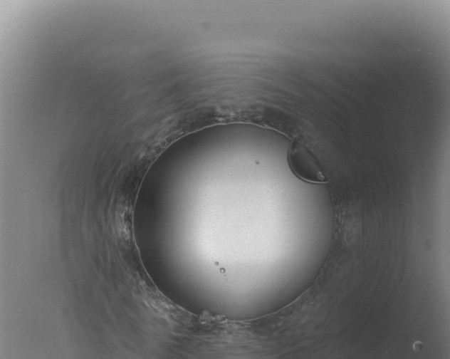 X0000077370770200610271919