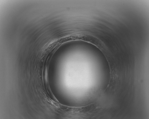 X0000077370773200610271919