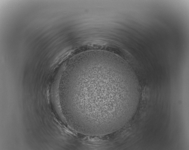 X0000077370774200610271919